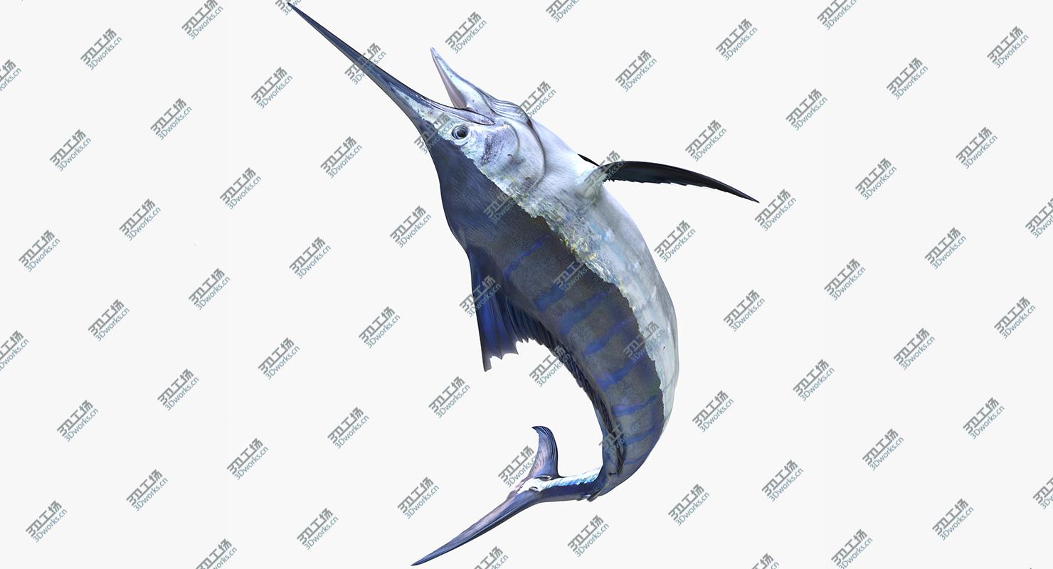 images/goods_img/202105074/Blue Marlin Rigged for Maya/5.jpg